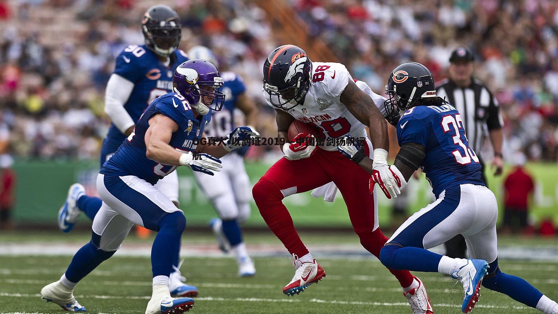 以剑证2019—中国击剑扬帆远航